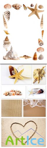 Sea, Shell, Sand Cliparts