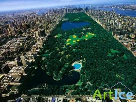  -    - / Central Park in New York
