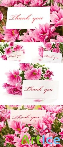 Flower Cards - Stock Photos