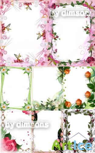 Frame Collection No. 23