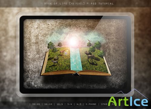 Book of life psd