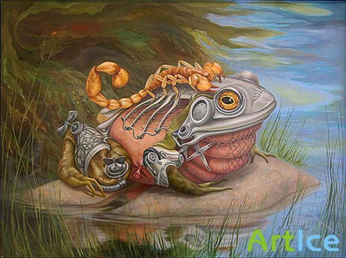   Heidi Taillefer