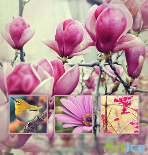 Photoshop Actions 20