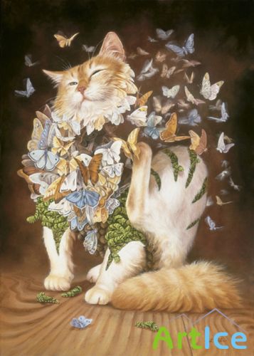  Heidi Taillefer