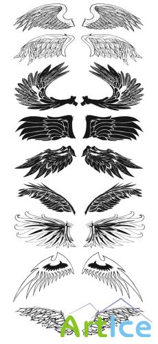 Exclusive Wings Brushes Pack 1