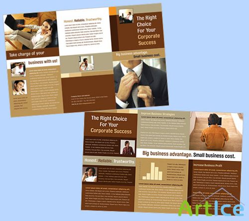 Templates for Design - Success Showcase Brochure 11 x 8.5 BoxedArt