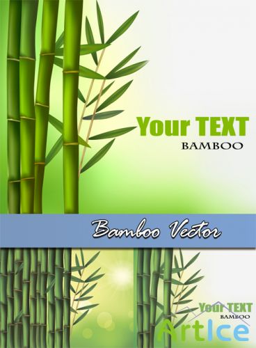 Bamboo Vector