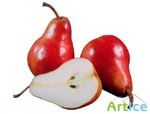 ��������: ������ - �����