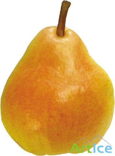 ��������: ������ - �����