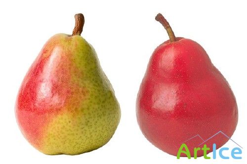 ��������: ������ - �����