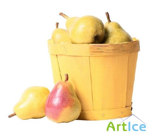 ��������: ������ - �����