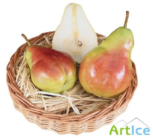 ��������: ������ - �����