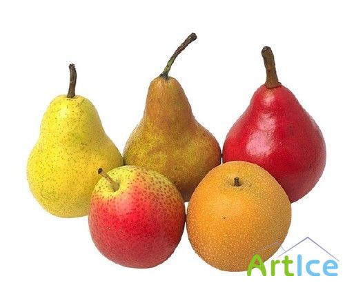 ��������: ������ - �����