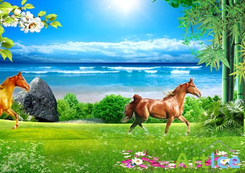 Sources - Beautiful horses running the fields