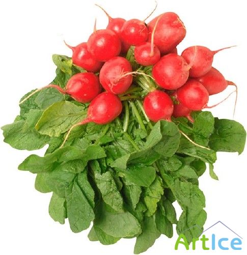 : , , , , , , , 