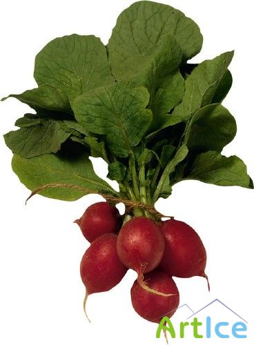 : , , , , , , , 