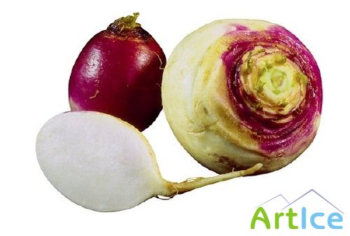 : , , , , , , , 