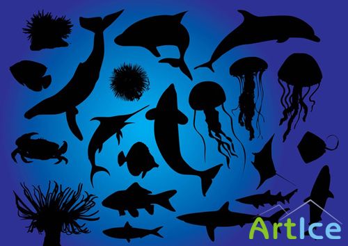 Vector Sea Life