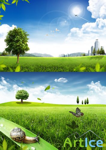 Sources - A beautiful summer nature