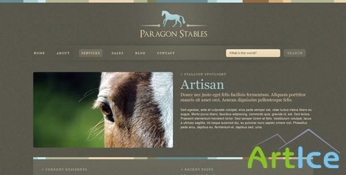 ThemeForest - Paragon (Reupload)