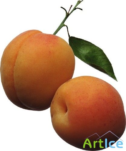  : , , 