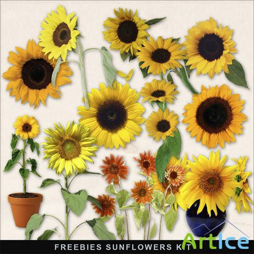 Scrap-kit - Autumn Flowers