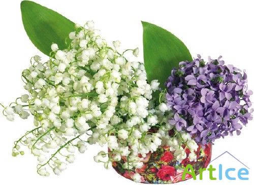 ����� ��������� - �������� �������� �����������