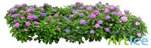 ����� ��������� - �������� �������� �����������