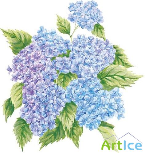 ����� ��������� - �������� �������� �����������