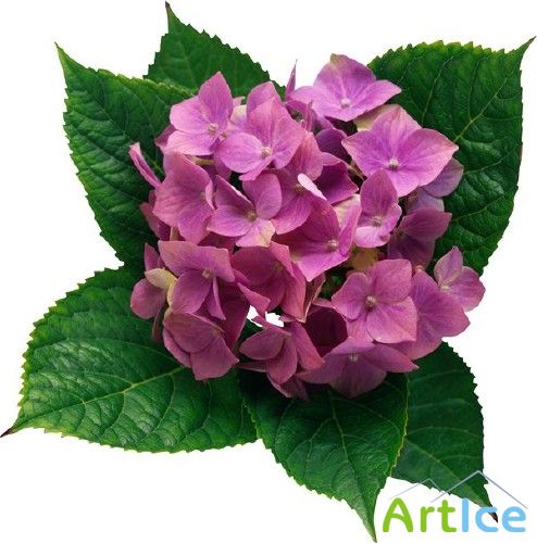 ����� ��������� - �������� �������� �����������