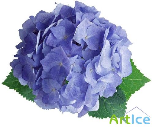 ����� ��������� - �������� �������� �����������