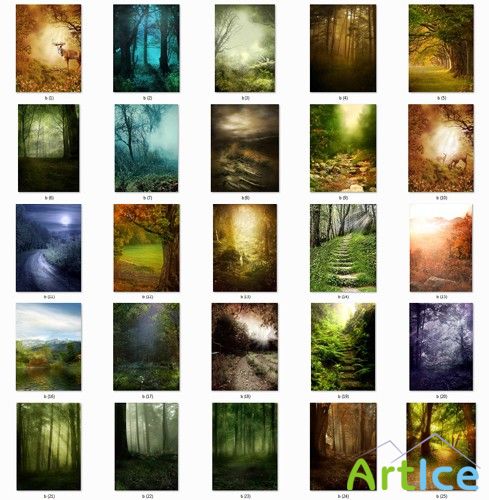 Fantastic Natural Backgrounds 15