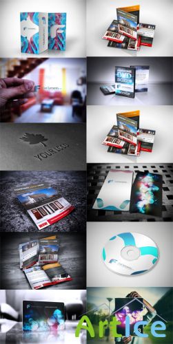 13 Professional Mock-ups Templates