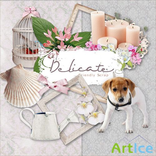 Scrap-set - Delicate