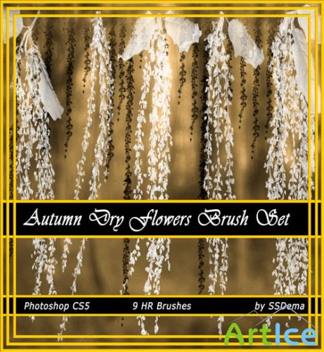 Autumn Long Dry Flowers Photoshop Brushes