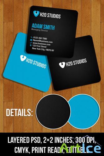 Mini Business Card