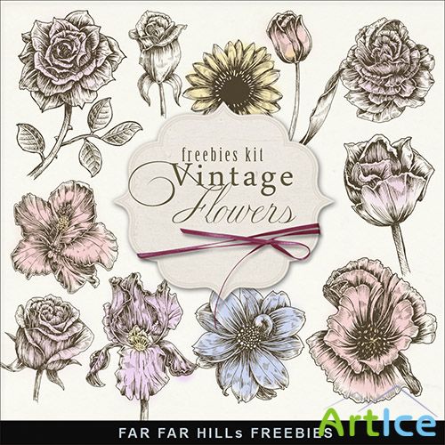 Scrap-kit - Vintage Flowers PNG Images