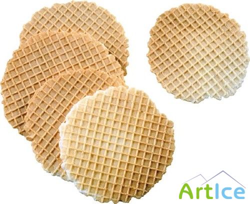 ����� - �������� �����������