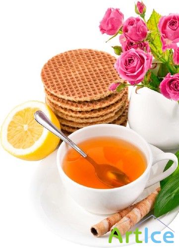 ����� - �������� �����������