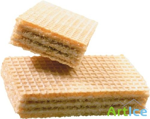 ����� - �������� �����������