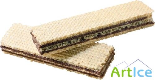 ����� - �������� �����������