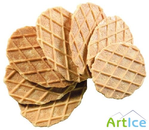 ����� - �������� �����������