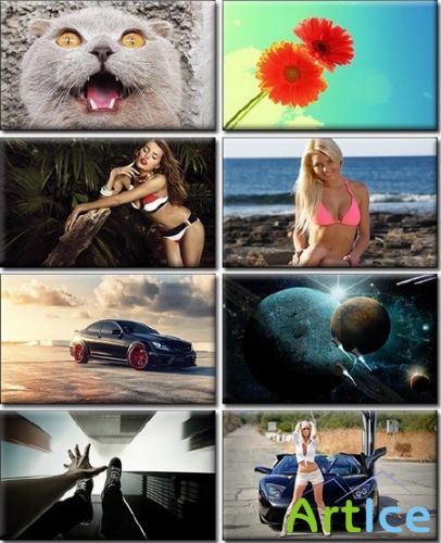 Wallpapers -     -  HD 2