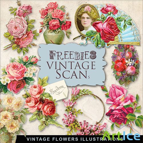 Scrap-kit - Vintage Flowers PNG Illustrations