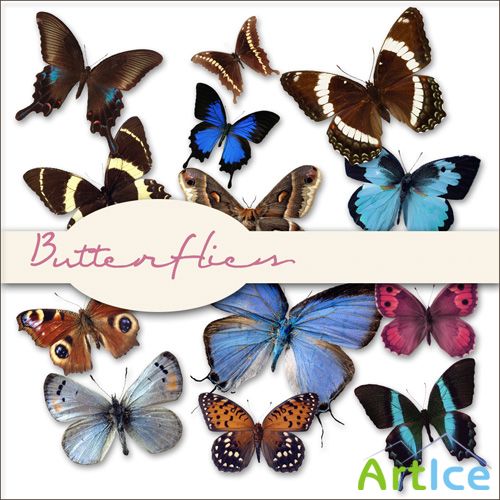 Scrap Set - Butterflies 4 PNG Files