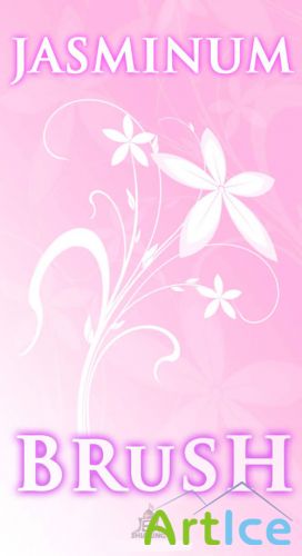 Jasminum Photoshop Brushes