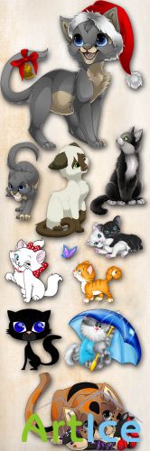 Your Favorite Cat