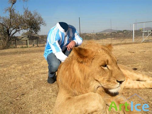   Photoshop -    