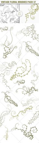 Vintage Floral Photoshop Brushes Pack 37