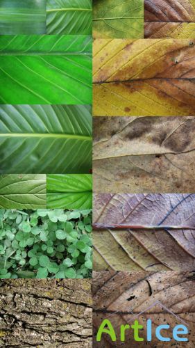 High Resolution Plant Textures JPG Files